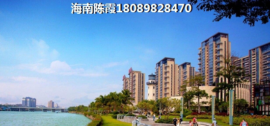 中央绿园海景房的优势和不足