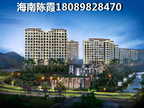 水果果切盆 水果果切盆