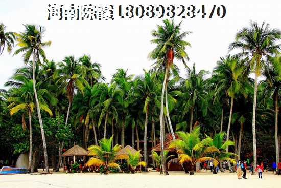 c语言如何计算方程