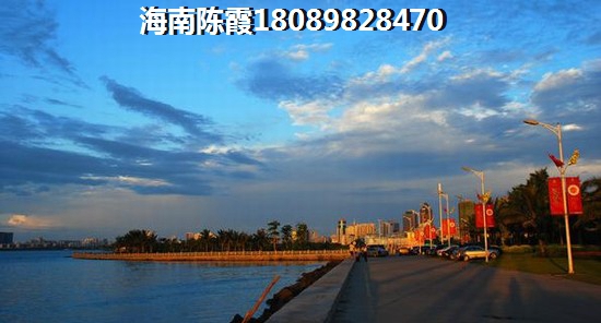 收账的小游戏叫什么