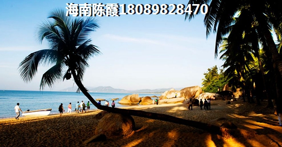辰瑞商贸有限公司