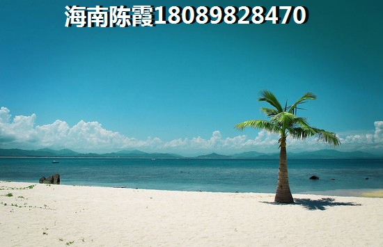 小蜗牛的小房子怎么会没了编故事