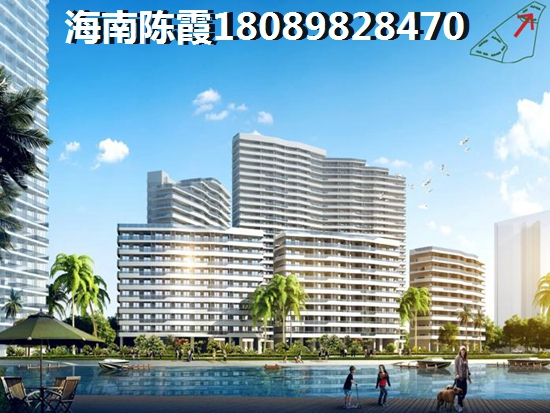 苦苣可炒着吃么