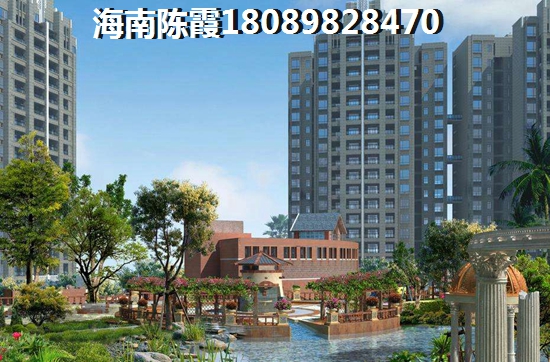 杉坪景区实时视频