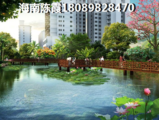 梦见放礼花是什么意思