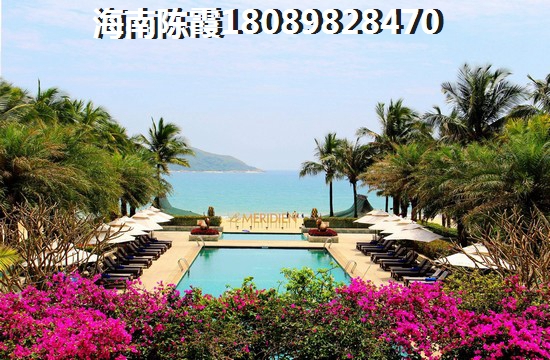 虎宝是什么意思啊