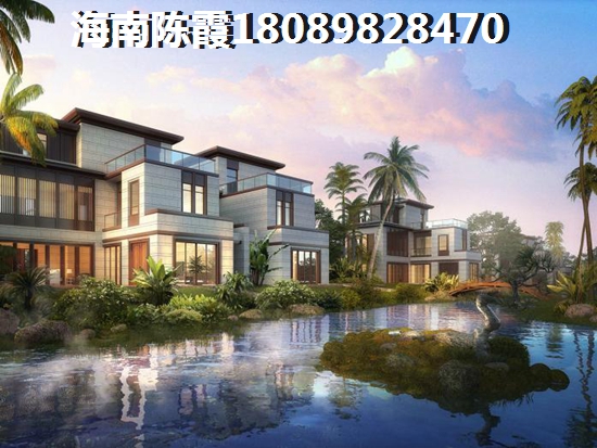 观赏鱼公司取名字