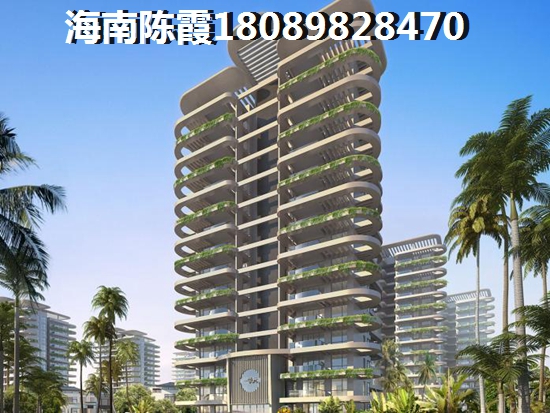 雪菜可以炒大白菜吃吗